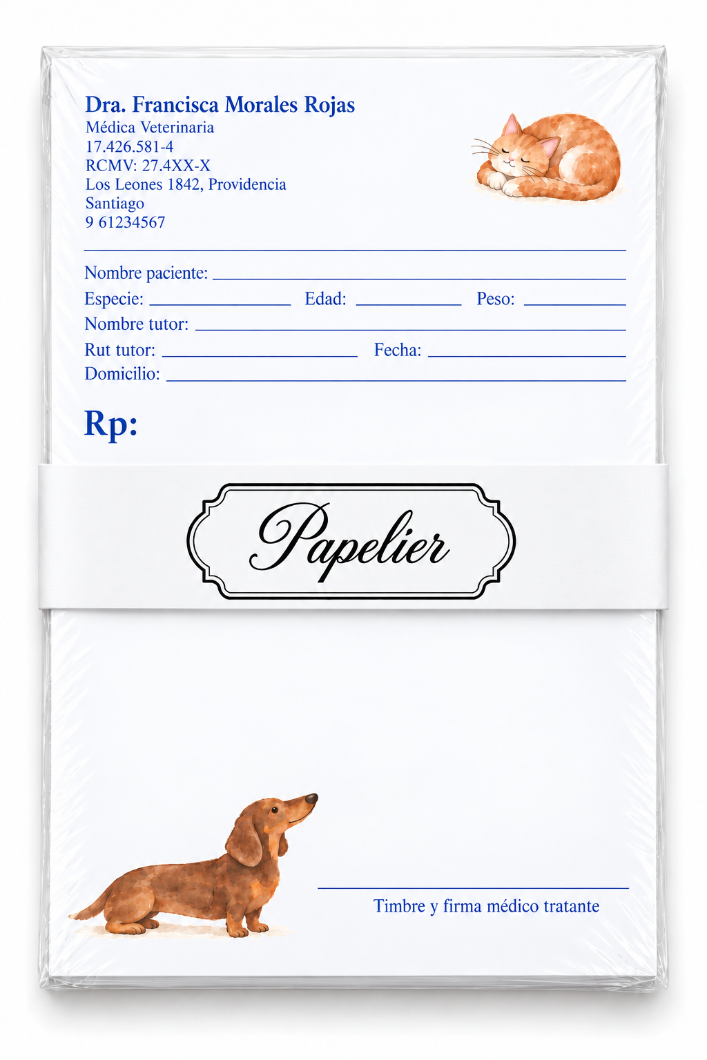 Recetario Personalizado 100 hojas | Veterinario "Los mejores amigos del hombre"